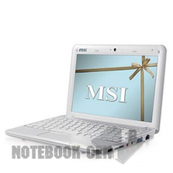 MSI Wind U100-041