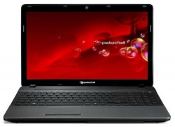 Packard Bell EasyNote F 4211-324