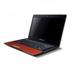 Packard Bell EasyNote NM87 