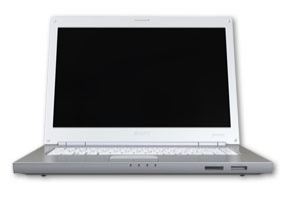 Sony VAIO VGN-N31ZR/W 