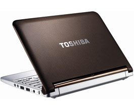 Toshiba NB305-108